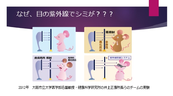 マウスの実験のイラスト