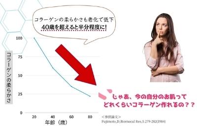 加齢で低下するコラーゲンの質の図