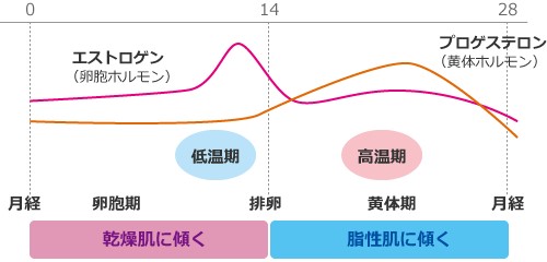 生理周期と女性ホルモンの関係の図