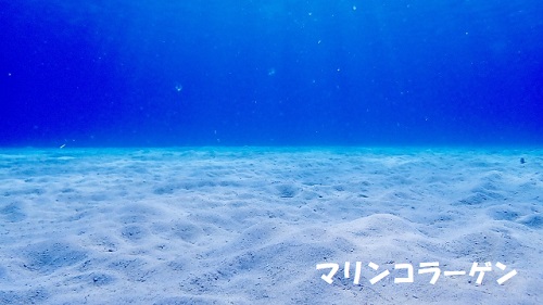 マリンコラーゲンのとれる海のイメージ