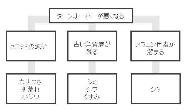 ターンオーバーの乱れが原因の肌悩みの図