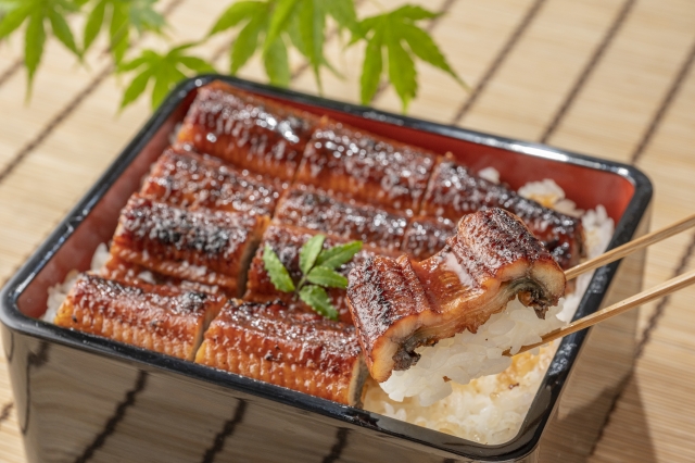 土用の丑の日に食べるうな重のイメージ