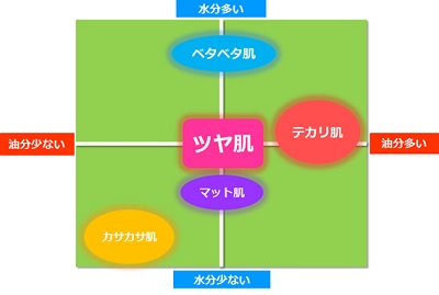 ツヤのある肌の水分と油分のバランスを表した図