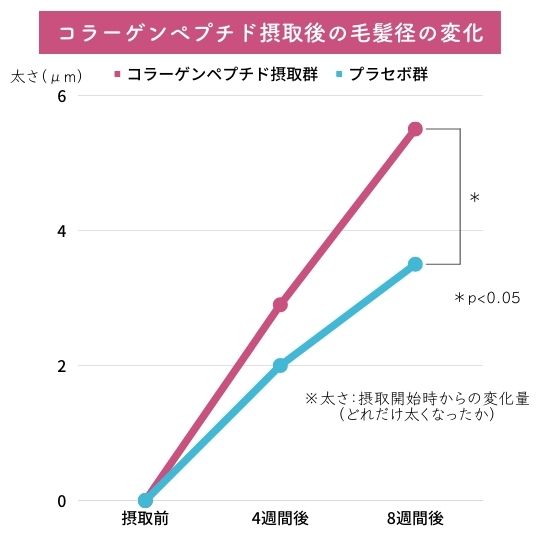 コラーゲンペプチド摂取後の毛髪径の変化のグラフ