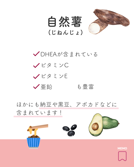 自然薯の図