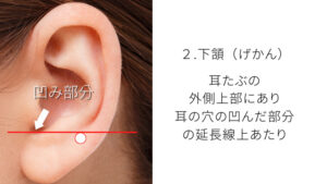下頷の写真