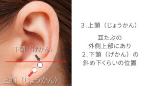 上頷の写真
