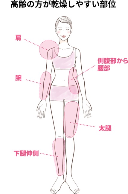 高齢の方が乾燥しやすい部位