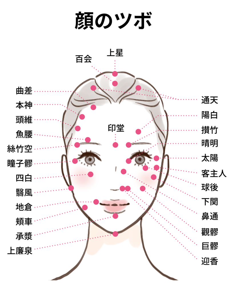 顔のツボのイラスト
