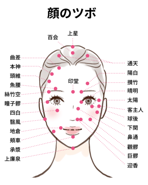 顔のツボのイラスト