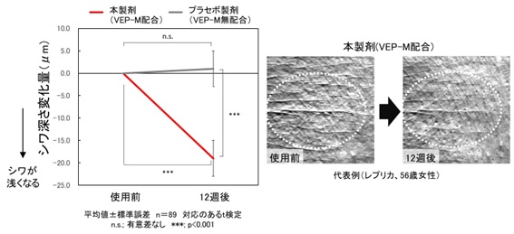 VEP-Mとプラセボの効果比較：シワの深さの変化と代表例（レプリカ）