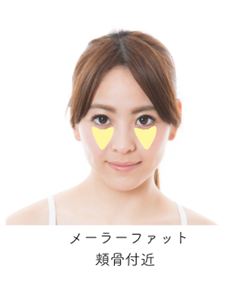 メーラーファット