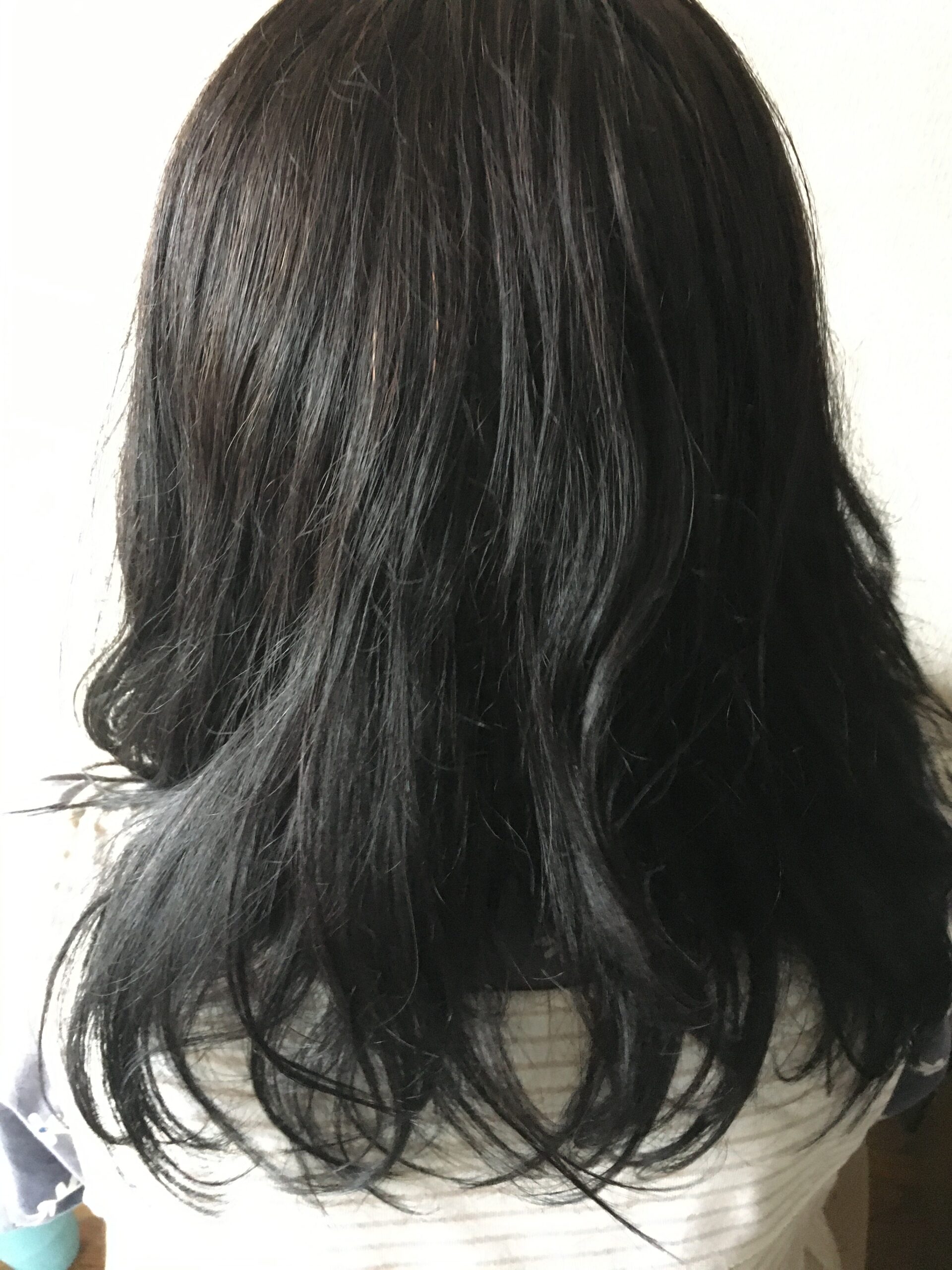 LATTE SHAM(ラテシャン)