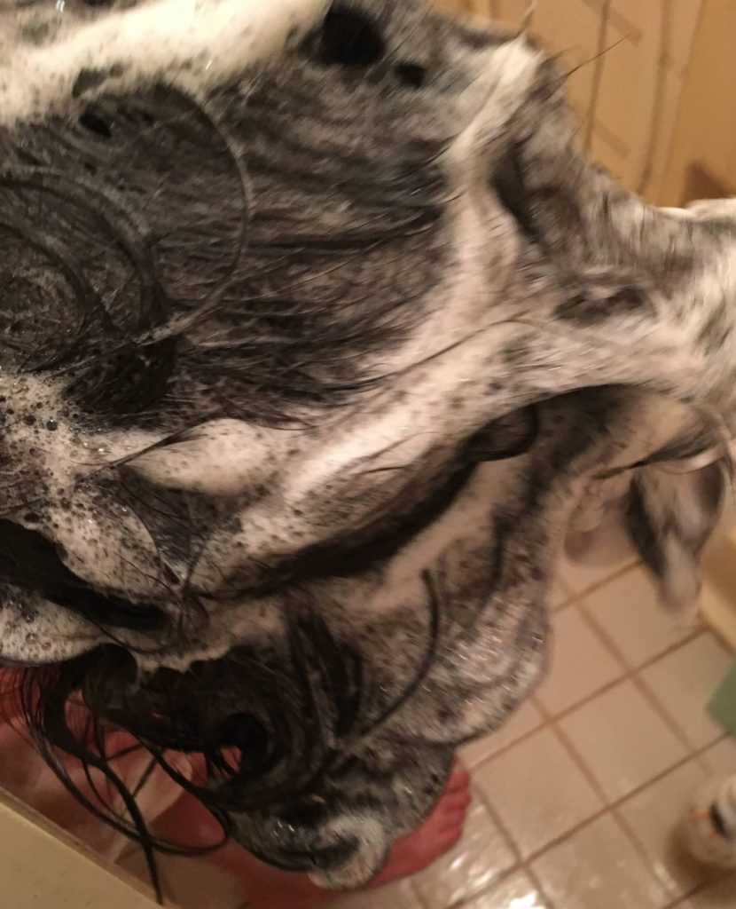 濃密泡シャンプー