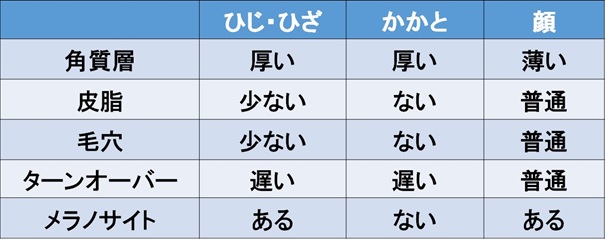 顔の肌とひじ・ひざ・かかとのお肌の違い