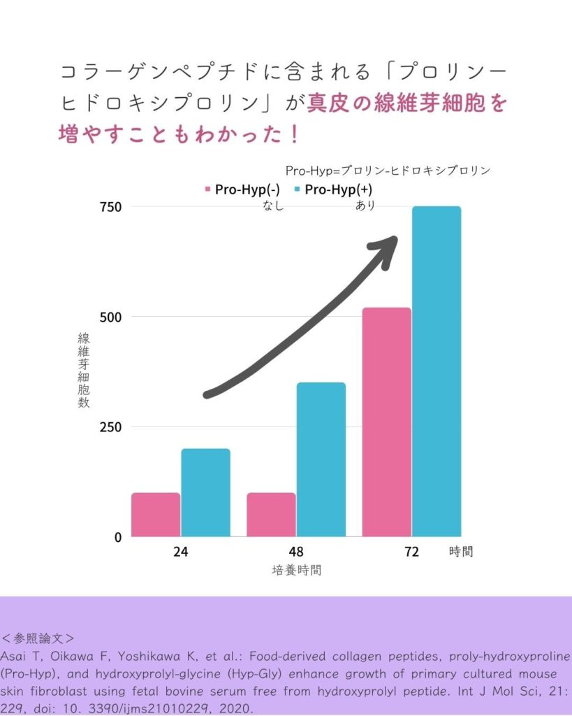 コラーゲンペプチドが線維芽細胞を活性化