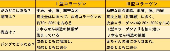 Ⅰ型コラーゲンとⅢ型コラーゲンの比較