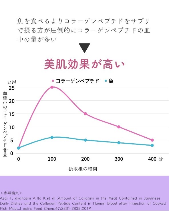 コラーゲンペプチドが線維芽細胞を活性化