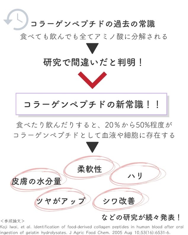 コラーゲンペプチドが線維芽細胞を活性化