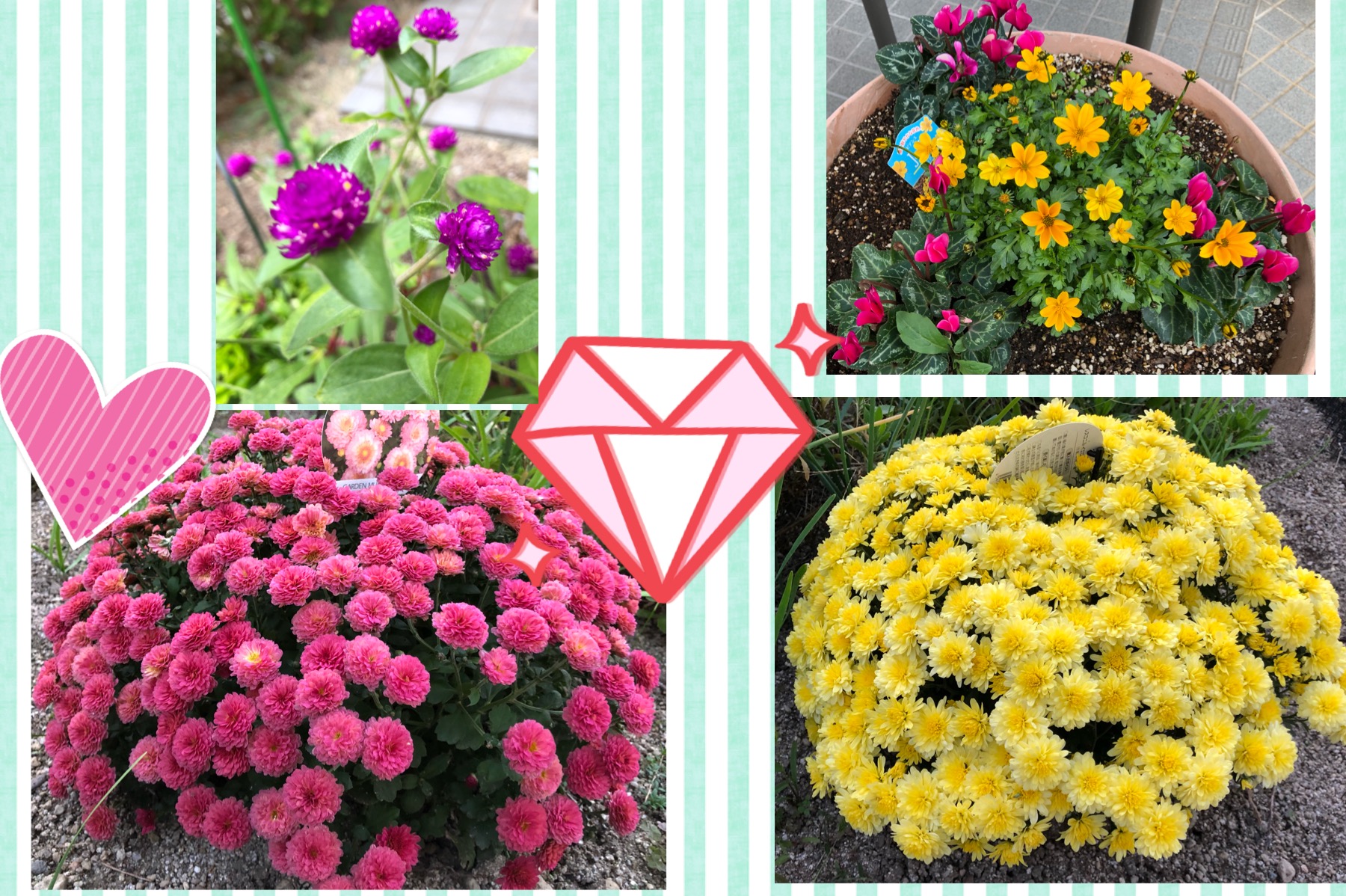 リニューアルして1年♪♪『ナールスピュア』を使い続けた感想 byかのんかのんママりん