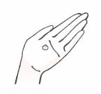 ナールスユニバを手に取るイラスト