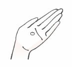 ナールスネオを手に取る様子