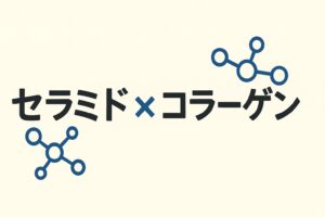 セラミド×コラーゲンのイメージ
