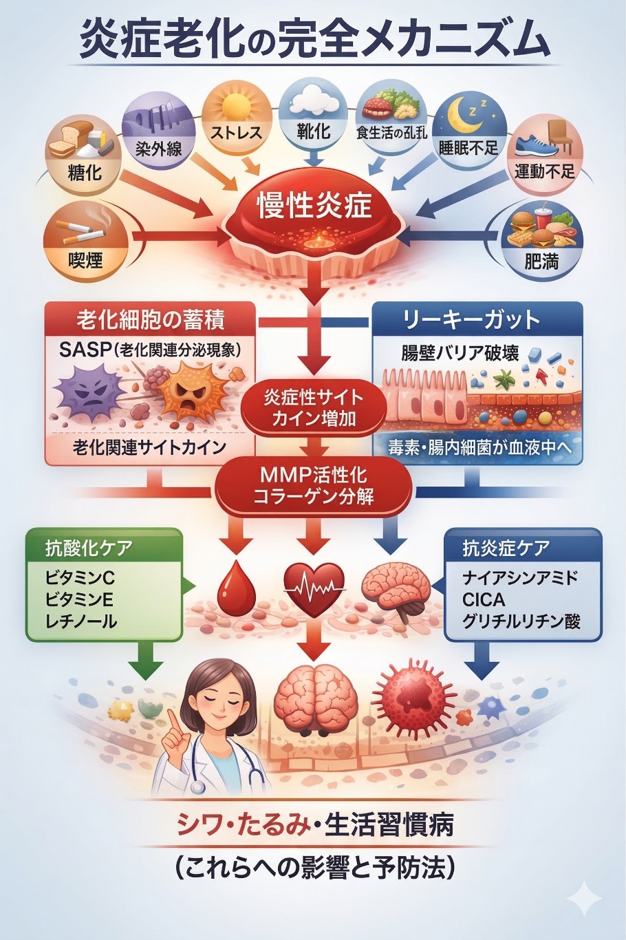 炎症老化のメカニズム