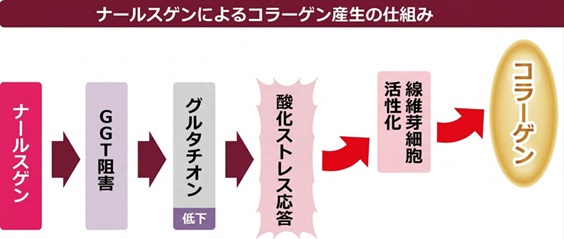 ナールスゲンの作用メカニズム