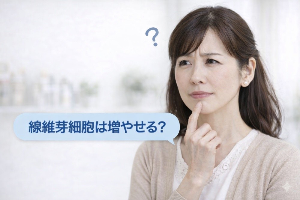 線維芽細胞が増やせるかが気になる女性