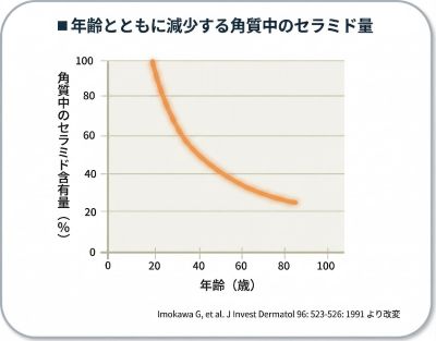 セラミドの加齢による変化のグラフ