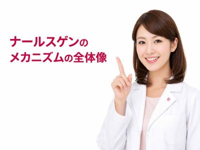 ナールスゲンのメカニズムを説明するコスメコンシェルジュ
