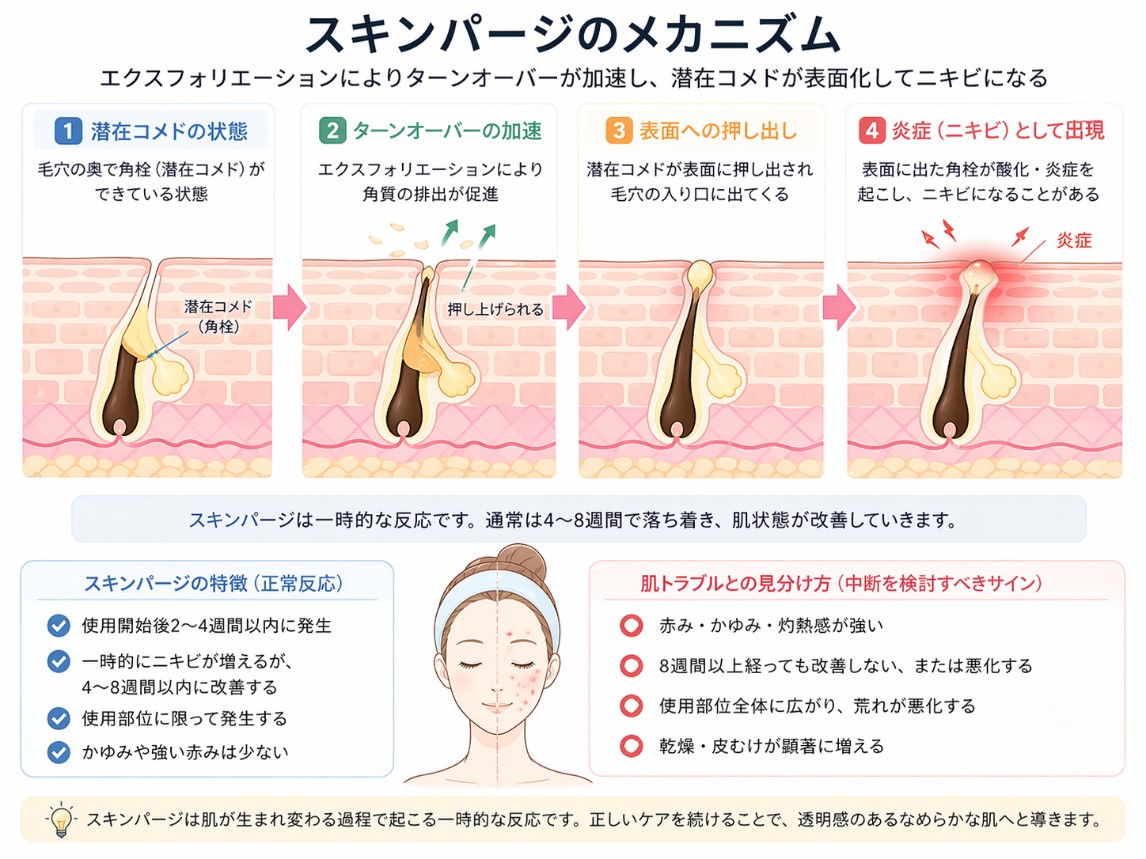 スキンパージのメカニズム図
