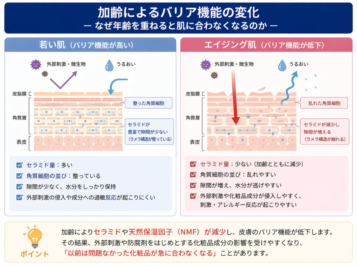 加齢によるバリア機能の変化