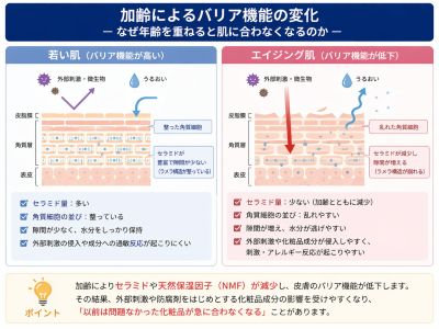 加齢によるバリア機能の変化