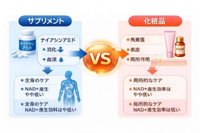 ナイアシンアミド・NMNのサプリメントと化粧品の違い