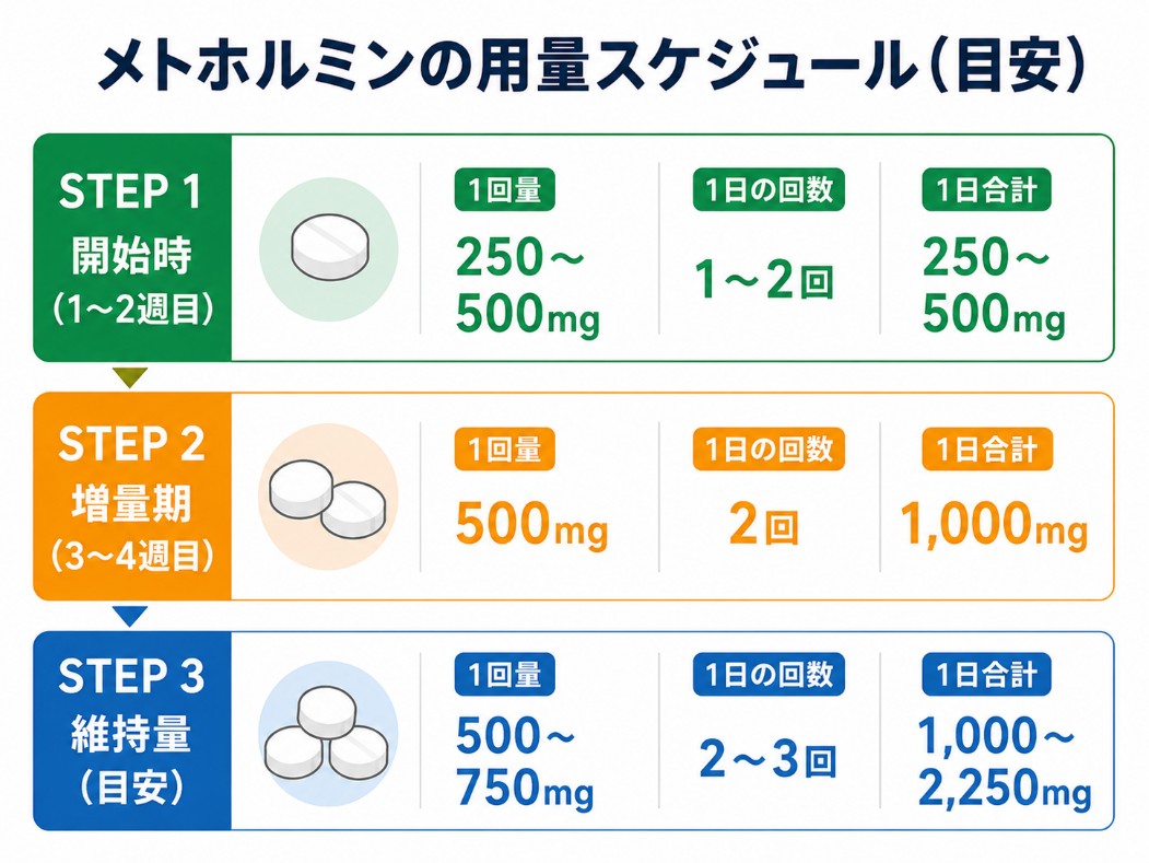 メトホルミンの用量スケジュール