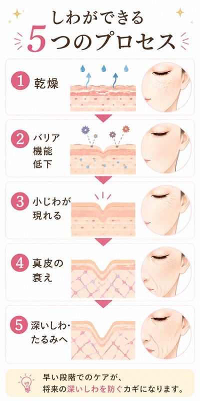しわができる5つのプロセス