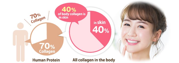 collagen_data