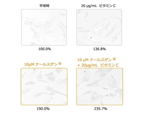 ナールスゲンとビタミンCの相加効果