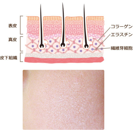 キメの整ったたるみ毛穴の目立たないお肌