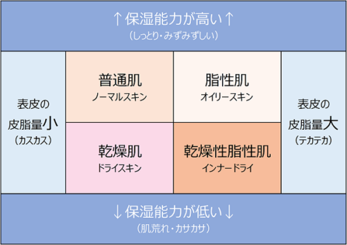 肌質の基本の4タイプの図