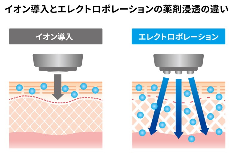 ターンオーバーの構図と年代別ターンオーバーの目安