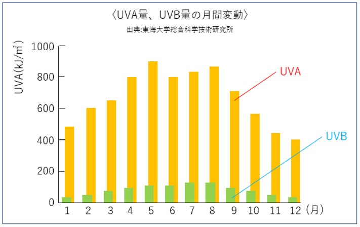 UVA量、UVB量の月間変動のグラフ