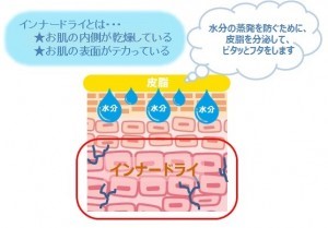 インナードライ肌の肌状態を示した図