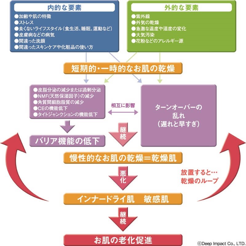 乾燥肌が進むメカニズムを表した図