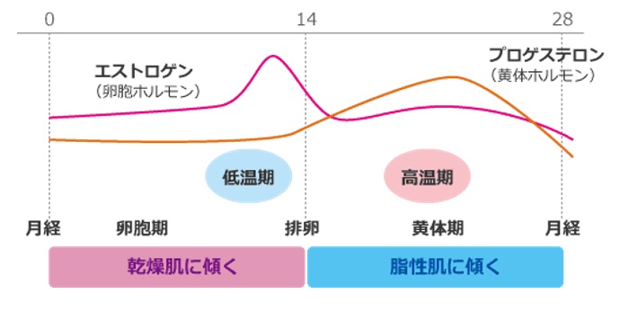 生理周期のホルモンバランスを表した図