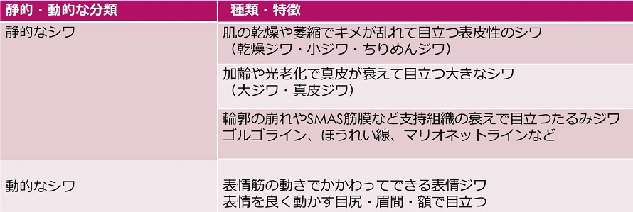 シワの静的、動的による分類表