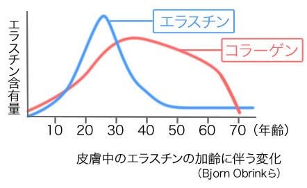 加齢とコラーゲン・エラスチンの量のグラフ