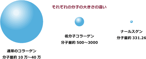 それぞれの分子の大きさの違い